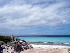 BB138, -34.376670, 119.533950 Easy access to Whalebone Beach