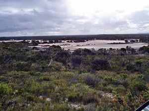 ES113, -33.858490, 123.613800 Salt flats on Bellanger Beach track