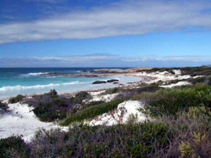 Looking at the western point of Kenndy's beach