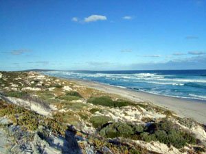 Poison Creek beach