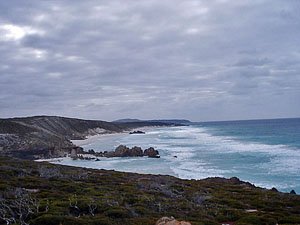 Looking along Whalebone Beach FTZ13