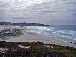 Hammersley Inlet sandbar FTZ17