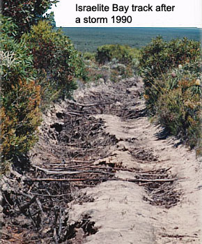 Storm damage 1990 Israelite Bay