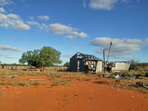 Winnemia shearing shed