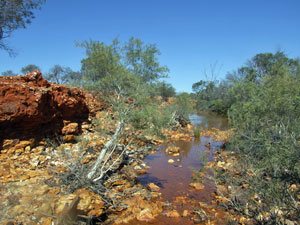 Mooka Creek