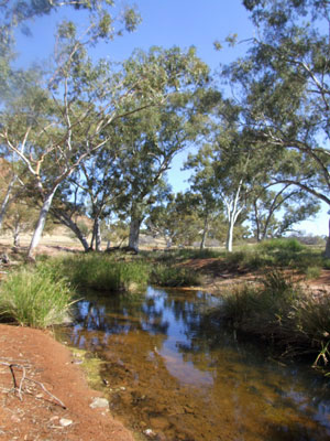 Chaffcutter Spring