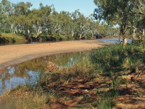 Lyons River