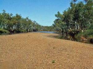 Lyons River