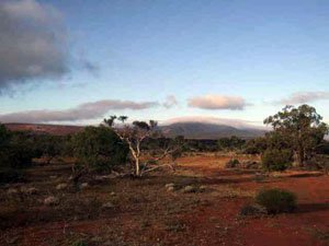 Mt Singleton