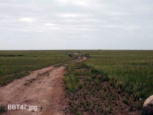 BBT047,Track Conditions