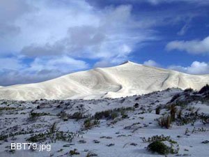 Bilbunya Dunes