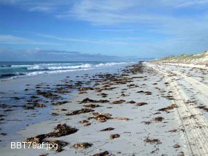 The only way is the beach run at low tide