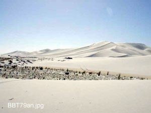 Bilbunya Dunes