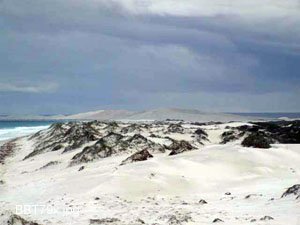 Bilbunya Dunes